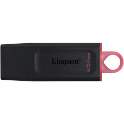 PEN DRIVE 256GB KINGSTON...